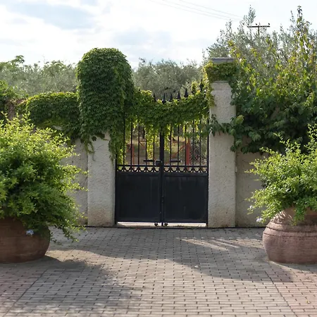 Pelion's Finest Estate Káto Lekhónia
